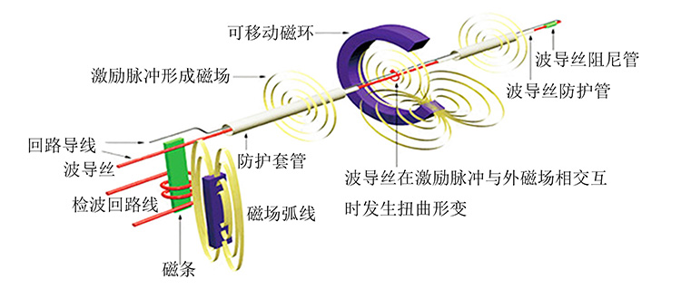 磁致伸縮產(chǎn)品工作原理示意圖